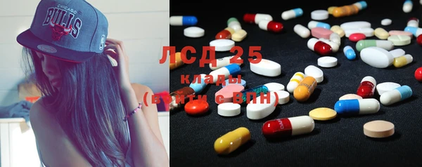 мяу мяу мука Алексеевка