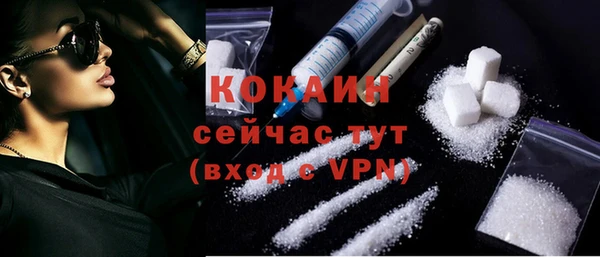 мдпв Грязовец