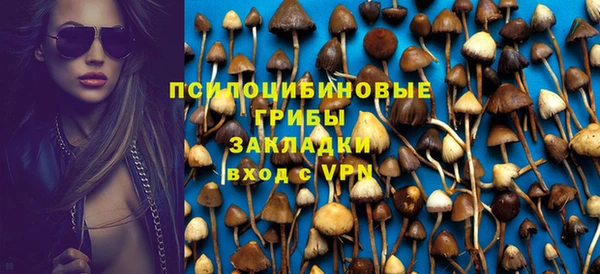 мяу мяу мука Алексеевка