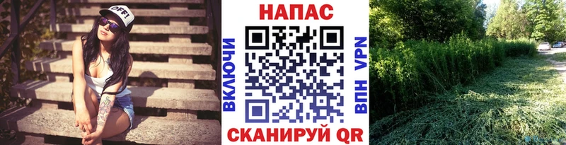 kraken маркетплейс  Дмитриев  Бошки марихуана MAZAR 